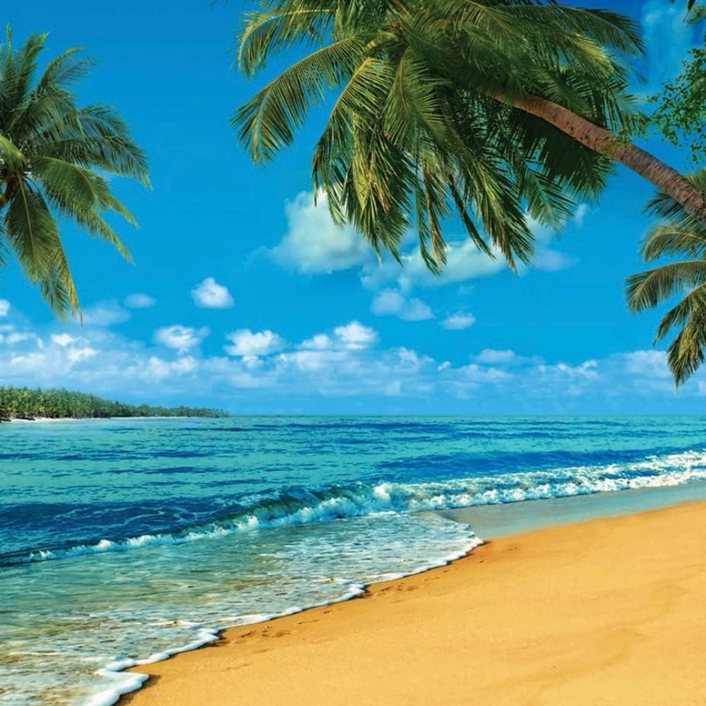 Photography background